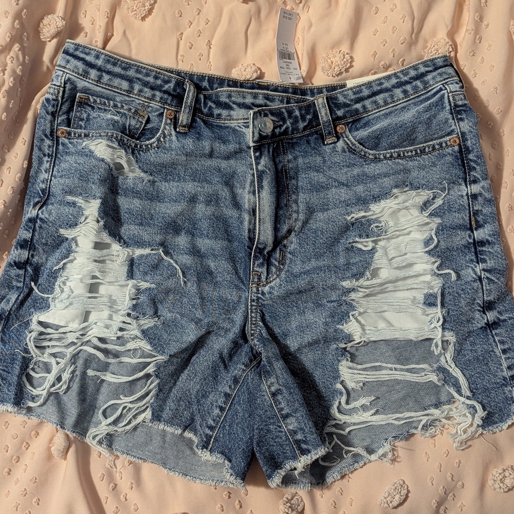 American Eagle Outfitters Distressed Jean Shorts